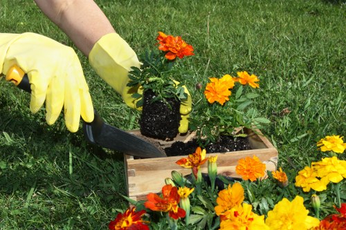 Reused planters and compost applied in a community allotment