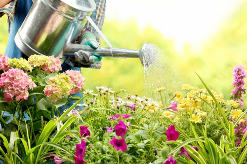 A person wearing gardening gloves is watering a vibrant flower bed in a garden, with a metallic watering can. The garden features a variety of flowering plants in shades of pink, purple, and yellow, set against lush green foliage. The background shows a softly blurred natural environment, indicating a bright and sunny day with diffused sunlight illuminating the scene. The flower bed appears well-maintained, with lush, healthy plants growing close together, bordered by grass or mulch. The overall scene reflects outdoor gardening activity typical of residential landscaping in Notting Hill, supporting the services offered by Gardening Services Notting Hill for garden care and plant maintenance.