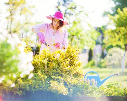 Gardener speaking with a client beside a raised, accessible planting bed