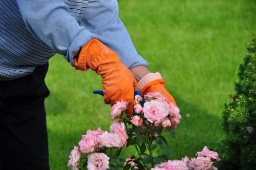 In a well-maintained garden setting, a person wearing orange gardening gloves and a grey long-sleeved shirt is seen pruning a cluster of pink roses or flowering shrubs. The background features lush, green grass and neatly trimmed hedges or bushes, with a small flowering shrub visible on the right side of the image. The scene captures a moment of outdoor gardening activity, highlighting the care and maintenance involved in garden landscaping and planting. The natural lighting suggests a bright day, likely in spring or summer, contributing to the vibrant colour palette of greens and pinks. This setting could be part of a residential garden in Notting Hill, showcasing typical landscaped outdoor spaces that Gardening Services Notting Hill might service, with a focus on flower beds, shrub trimming, and general garden upkeep. The surface area appears to be a healthy, evenly cut lawn, complemented by flowering plants and ornamental greenery, emphasizing a tidy and aesthetically pleasing outdoor environment that aligns with professional gardening and lawn care services in the local area.