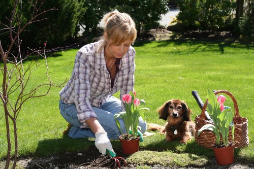 Volunteer charity garden receiving donated pots and soil