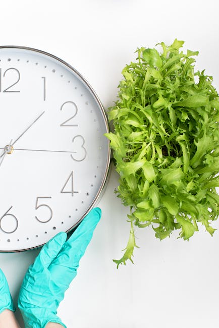 A close-up image showing a person's hand wearing a light blue gardening glove, gently holding a round wall clock with a white face, black numerals, and black hour and minute hands, which indicates the